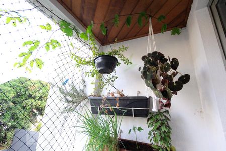 Varanda de apartamento para alugar com 2 quartos, 55m² em Vila da Saúde, São Paulo