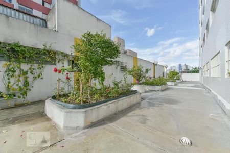 Apartamento à venda com 105m², 3 quartos e 1 vagaÁrea comum - Jardim