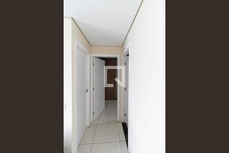 Corredor de apartamento para alugar com 2 quartos, 46m² em Santa Amelia, Belo Horizonte