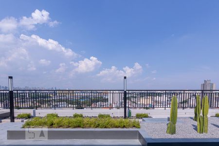 Studio para alugar com 30m², 1 quarto e sem vagaTerraço Cobertura - Área Comum