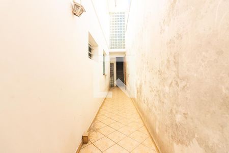 Casa para alugar com 250m², 4 quartos e 2 vagasQuintal