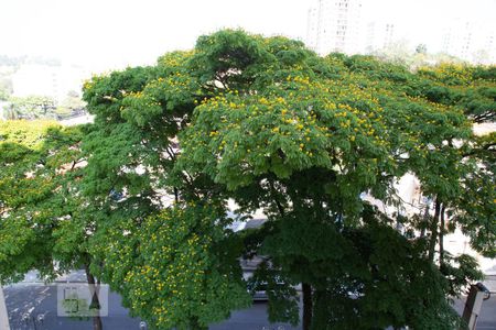 Apartamento para alugar com 70m², 3 quartos e 1 vagaVista Quarto 1