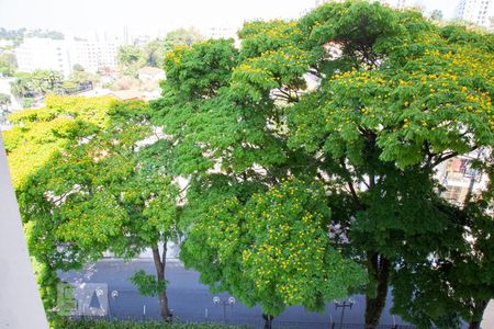 Apartamento para alugar com 70m², 3 quartos e 1 vagaVista Quarto 2