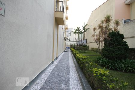 Apartamento para alugar com 55m², 2 quartos e 1 vagaÁrea Comum