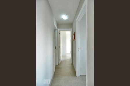 Corredor de apartamento para alugar com 2 quartos, 68m² em Vila Ipojuca, São Paulo