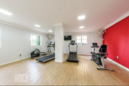 Apartamento para alugar com 74m², 3 quartos e 2 vagas Apartamento para alugar com 74m², 3 quartos e 2 vagasÁrea Comum - Academia