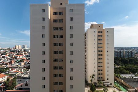 Vista do Quarto 1 de apartamento para alugar com 2 quartos, 68m² em Vila Butantã, São Paulo