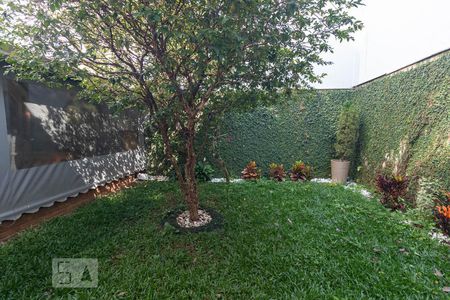 Casa à venda com 298m², 3 quartos e 3 vagasQuintal