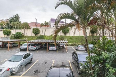 Vista da Sala de apartamento para alugar com 2 quartos, 54m² em Parque Cruzeiro do Sul, São Paulo
