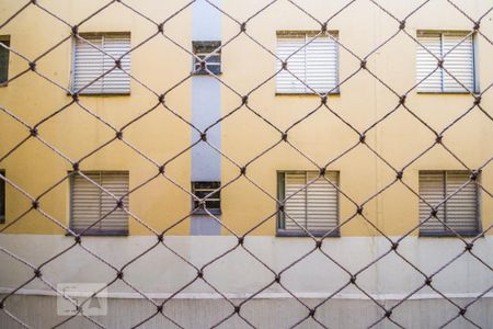 Vista da Suíte de apartamento para alugar com 3 quartos, 52m² em Ponte Preta, Campinas