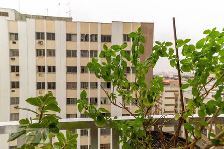 Apartamento para alugar com 55m², 2 quartos e 1 vagaVista da Área de Serviço