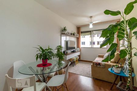 Sala de apartamento para alugar com 2 quartos, 55m² em Engenho Novo, Rio de Janeiro