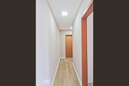 Corredor de apartamento para alugar com 2 quartos, 50m² em Jardim Íris, São Paulo