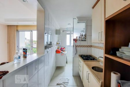 Cozinha de apartamento para alugar com 2 quartos, 65m² em Nova Petrópolis, São Bernardo do Campo