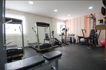 Área comum - Academia de apartamento para alugar com 2 quartos, 65m² em Nova Petrópolis, São Bernardo do Campo