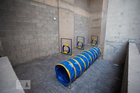 Apartamento para alugar com 53m², 2 quartos e 1 vaga Apartamento para alugar com 53m², 2 quartos e 1 vagaPet Place