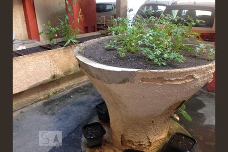 Apartamento para alugar com 65m², 3 quartos e sem vagaHorta