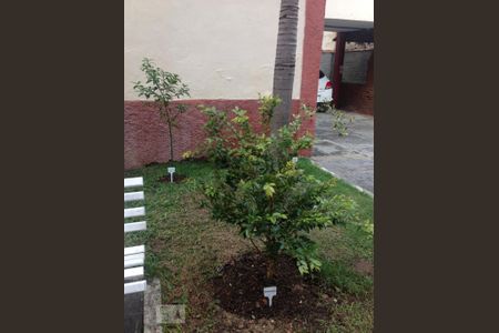 Apartamento para alugar com 65m², 3 quartos e sem vagaHorta