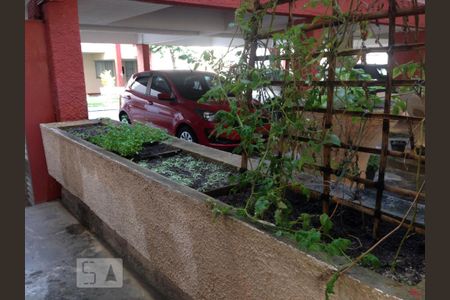 Apartamento para alugar com 65m², 3 quartos e sem vagaHorta