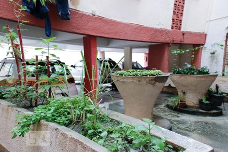 Apartamento para alugar com 65m², 3 quartos e sem vagaHorta
