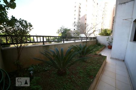 Apartamento para alugar com 76m², 2 quartos e 1 vagaTerraço