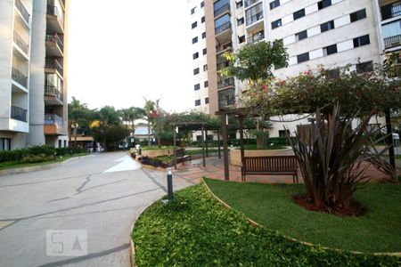 Apartamento para alugar com 76m², 2 quartos e 1 vagaÁrea Comum