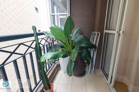 Varanda da Sala de apartamento à venda com 3 quartos, 110m² em Campestre, Santo André