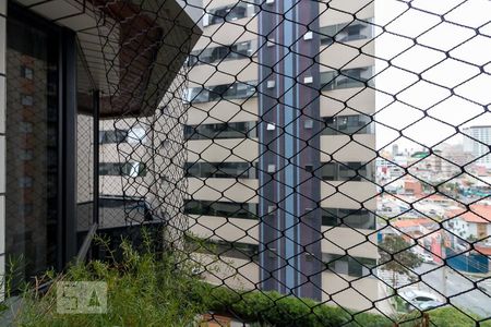 Apartamento à venda com 165m², 4 quartos e 3 vagasVista quarto 1