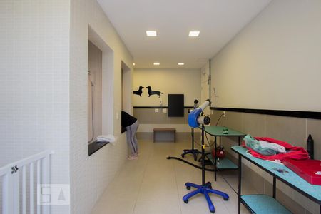 Apartamento à venda com 238m², 3 quartos e 4 vagasÁrea comum - Espaço Pet