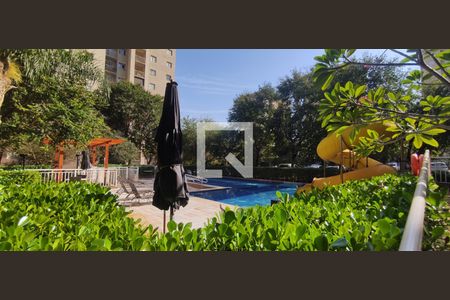 Área comum - Piscina de apartamento para alugar com 2 quartos, 53m² em República, Ribeirão Preto