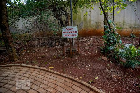 Apartamento para alugar com 52m², 2 quartos e 1 vaga Apartamento para alugar com 52m², 2 quartos e 1 vagaÁrea Comum - Bosque