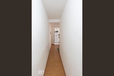 Corredor de apartamento para alugar com 2 quartos, 51m² em Vila Carminha, Campinas