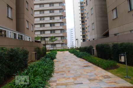 Apartamento para alugar com 52m², 2 quartos e 1 vagaÁrea comum