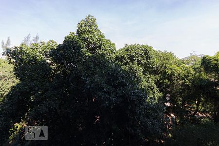 Apartamento à venda com 62m², 2 quartos e 1 vagaVista