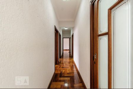 Corredor de apartamento para alugar com 3 quartos, 165m² em Cambuí, Campinas
