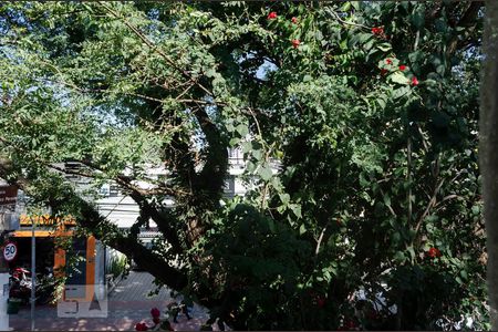 Casa à venda com 240m², 3 quartos e 5 vagasVista da Sala