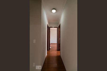 Corredor de apartamento para alugar com 3 quartos, 110m² em Vila Regente Feijó, São Paulo