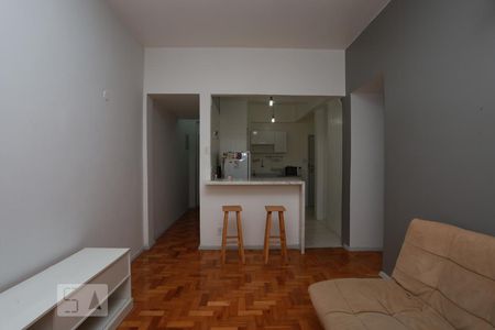 Sala de Apartamento com 1 quarto, 43m² Tijuca