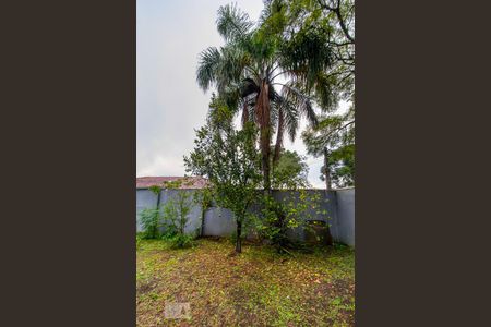 Casa para alugar com 300m², 5 quartos e 4 vagasQuintal