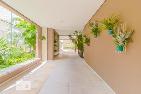 Apartamento à venda com 62m², 3 quartos e 1 vagaÁrea Externa