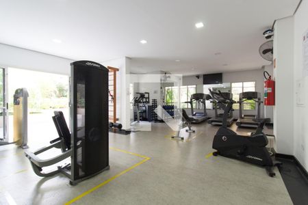 Apartamento para alugar com 45m², 1 quarto e 1 vagaÁrea comum - Academia