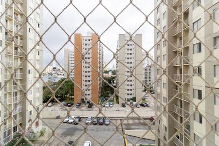 Apartamento à venda com 65m², 3 quartos e 1 vaga Apartamento à venda com 65m², 3 quartos e 1 vagaVista da Suíte