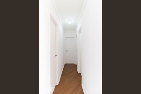 Corredor de apartamento para alugar com 3 quartos, 65m² em Cambuci, São Paulo
