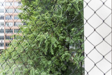 Apartamento à venda com 115m², 3 quartos e 1 vaga Apartamento à venda com 115m², 3 quartos e 1 vagaVista do Quarto 3