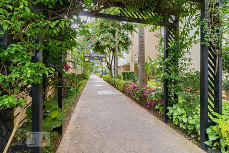 Apartamento para alugar com 60m², 2 quartos e 1 vaga Apartamento para alugar com 60m², 2 quartos e 1 vagaÁrea comum - Jardim