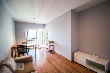 Sala de apartamento para alugar com 2 quartos, 66m² em Cambuí, Campinas