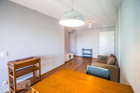 Sala de apartamento para alugar com 2 quartos, 66m² em Cambuí, Campinas