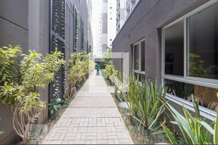 Apartamento para alugar com 28m², 1 quarto e sem vaga Apartamento para alugar com 28m², 1 quarto e sem vagaÁrea comum