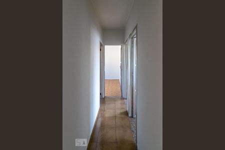 Sala - Corredor de apartamento para alugar com 3 quartos, 60m² em Irajá, Rio de Janeiro