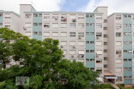 Vista do Quarto 1 de apartamento à venda com 3 quartos, 69m² em Sarandi, Porto Alegre